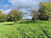 Wiesen - 