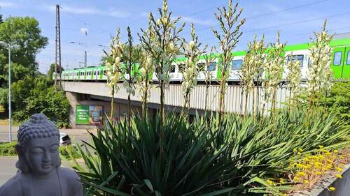 Bild 2 - 1 Zimmer Hotel, Pension, Gasthof zur Miete in Mülheim an der Ruhr