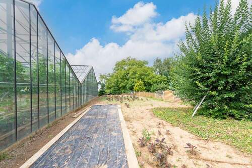 Immobilien-Aachen-Haus-Kaufen-JY888-02 - 