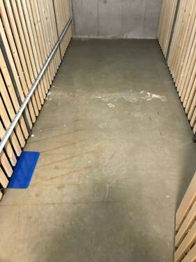 Kellerraum mit Holzlattenwand - 