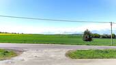 Blick Richtung Golfplatz - 