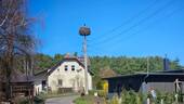 Storchennest.jpg - 