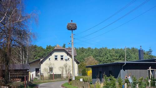 Storchennest.jpg - 