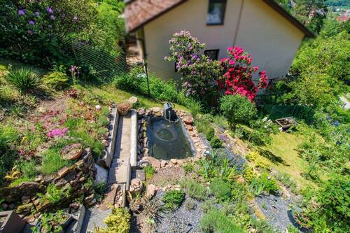 Gartenbereich - 
