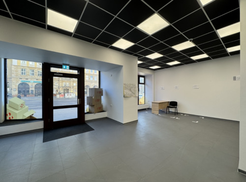 Verkaufsraum - 6 Zimmer Gewerbeobjekt (Büro, Produktion, Verkauf) in Magdeburg