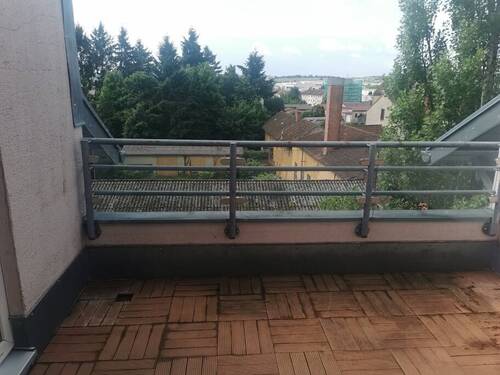 IMG_20250523_105250_resized_20250604_080042878.jpg - 