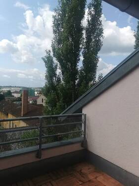 IMG_20250523_105258_resized_20250604_080043368.jpg - 