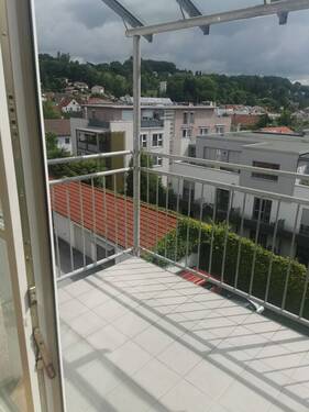 IMG_20250523_105138_resized_20250604_080005992.jpg - 