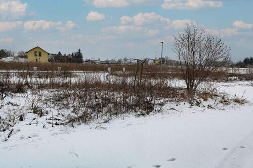 Ansicht von hinten - - AUKTION 19.03.2026 - Baustart statt Baustress: Platz für Ihren Wohntraum