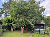 Garten 2 - Mehrfamilienhaus, Wohnhaus mit 203,00 m&sup2; in Bonn zum Kaufen