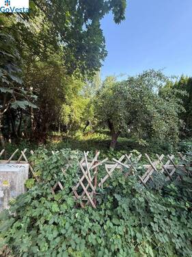 ebenes Grundstück mit gutem Baumbestand - 