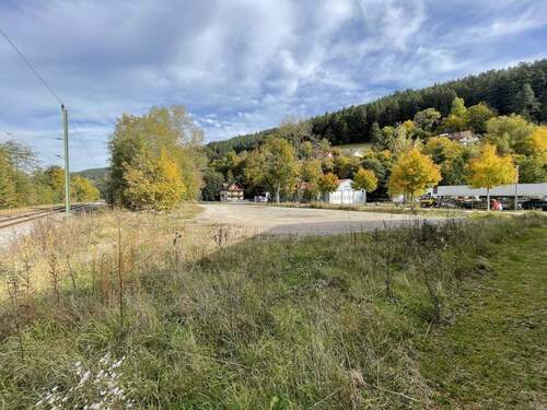 Ansicht in Richtung Nord- Ost - Grundstück in Baiersbronn