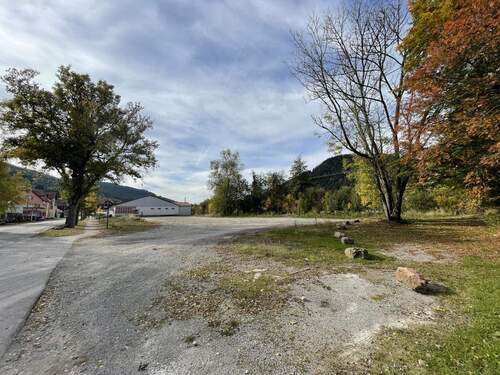 Ansicht in Richtung Süden - Grundstück in Baiersbronn zum Kaufen