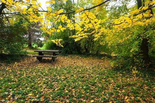 Parkähnlicher Garten - 