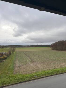 Blick aus dem Schlafzimmer - 