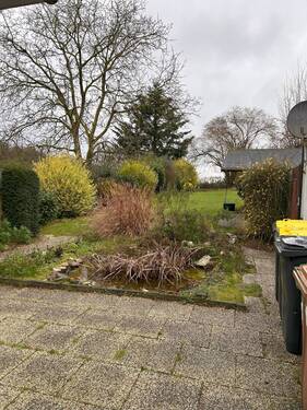 Blick in den Garten - 