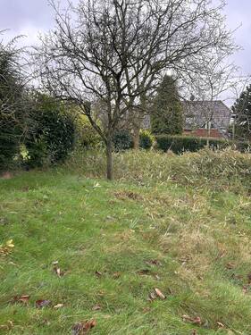 Naturbelassenes Gartengrundstück - 