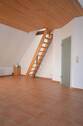 Zimmer DG - 