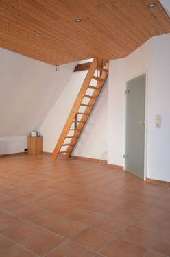 Zimmer DG - 