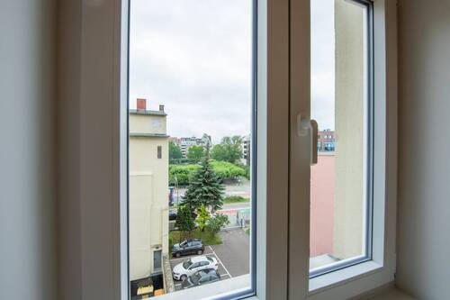 Fensterblick - 