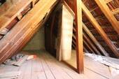 Dachspitz - 