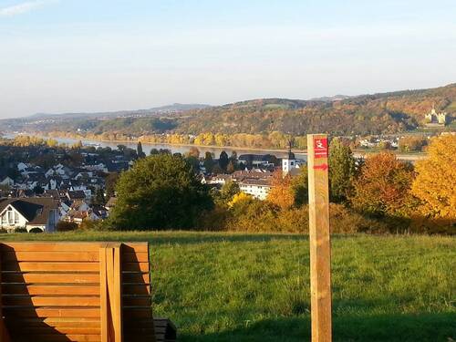 Blick auf Bad Breisig und den Rhein - 