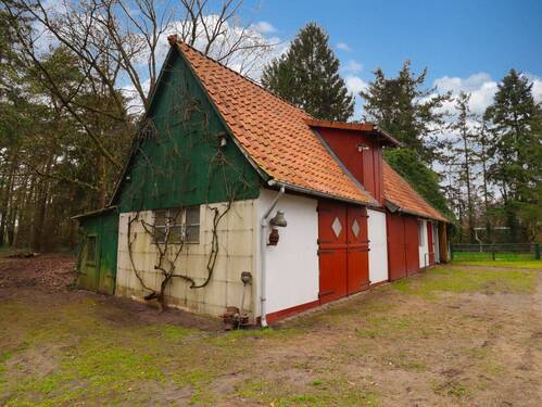 Schuppen mit Pferdeboxen - Einfamilienhaus mit 220,00 m&sup2; in Barver zum Kaufen
