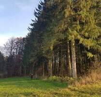 Wald mit kleinem Wiesen und Ackergrundstück - Hormersdorf Schnaittach