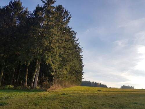 Bild 2 - Grundstück zum Kaufen in Hormersdorf Schnaittach