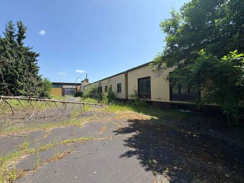 Rückansicht - Halle in Luhe-Wildenau zum Kaufen