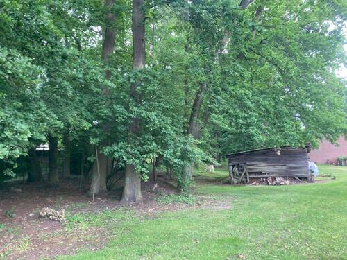 Garten mit altem Baumbestand - 