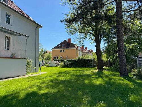 Grundstück - 3 Zimmer Etagenwohnung zur Miete in Greifswald