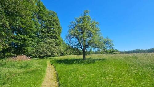 Blick Scheune Richtung Garten.jpg - 