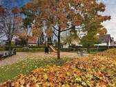 Naher Kinderspielplatz - 
