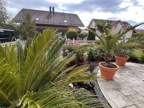 Terrassenanlage mit gepflastertem Belag und direktem Gartenanbindung - 