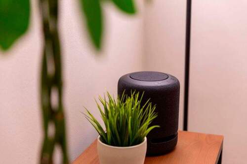 Für dezente musikalische Untermalung ist gesorgt - 