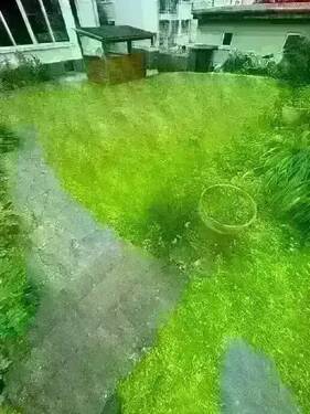 original (20).webp - 