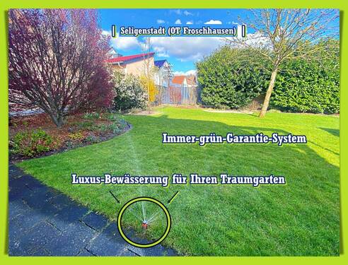 Grüne Effizienzlösung - 4 Zimmer Einfamilienhaus zum Kaufen in Seligenstadt