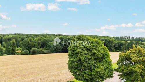 Ausblick - 4 Zimmer Etagenwohnung zum Kaufen in Bielefeld