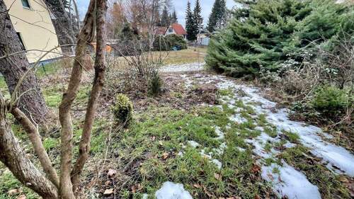 Grundstück - 4 Zimmer Einfamilienhaus in Dresden