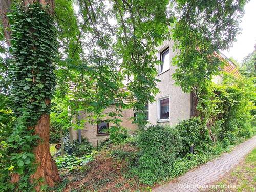 Der große Baum muss erhlaten bleiben - 