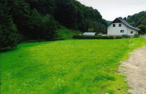 Waldwiesengrundstücke in der Talstraße - Waldwiesengrundstück am Ebertsbach in Kleinschmalkalden