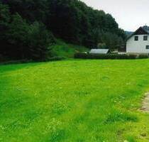 Waldwiesengrundstück am Ebertsbach in Kleinschmalkalden - Floh-Seligenthal