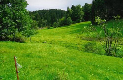 Teilansicht mit Ebertsbach - Grundstück in Floh-Seligenthal