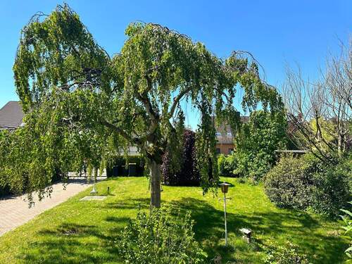 Garten vorne - 