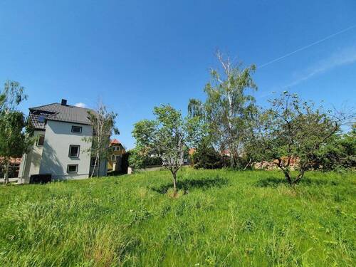 Großzügiger Garten - 