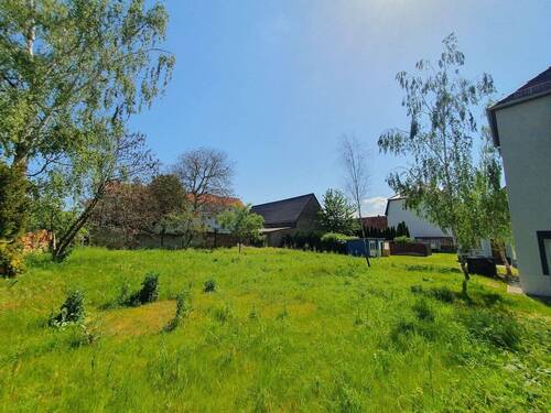 Garten zum Gestalten - 