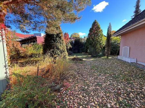 Garten hinter dem Haus - 