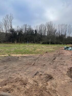 IMG-20250116-WA0011.jpg - 