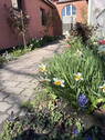 Weg zum Haus - 